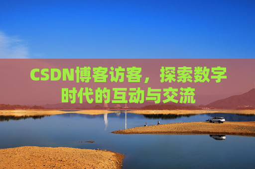 CSDN博客访客，探索数字时代的互动与交流